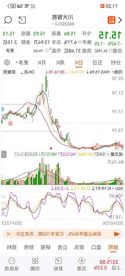 川大智胜千股千评，深度解析与前瞻，川大智胜千股千评，深度解析与前瞻展望